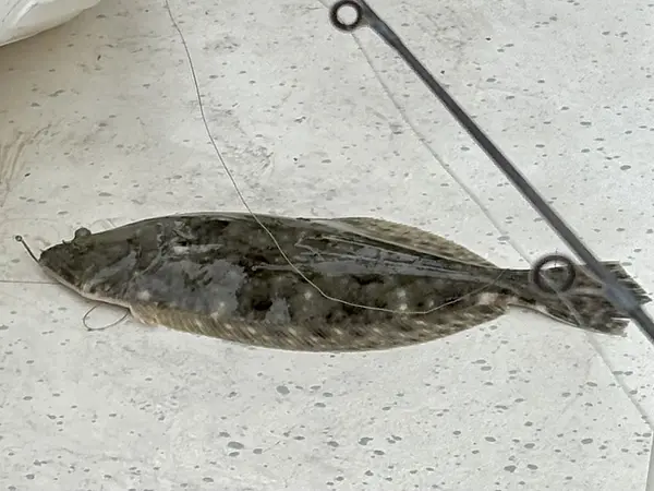 charter fishing trip photo