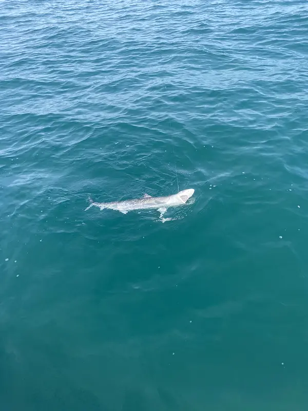 charter fishing trip photo