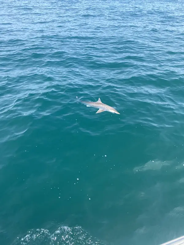 charter fishing trip photo